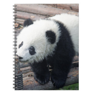 Panda-Bären individuell anpassen Jubiläen Notizblock