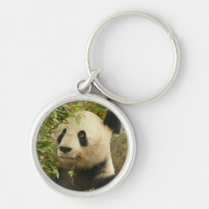 Panda-Bären individuell anpassen Jubiläen Schlüsselanhänger