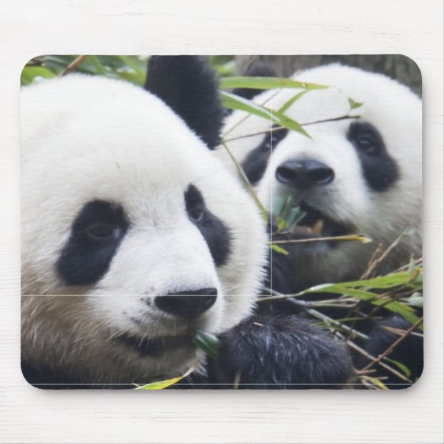 Panda-Bären Mousepad (Vorne)
