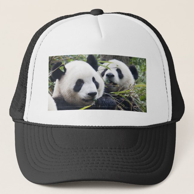 Panda-Bären Truckerkappe (Vorderseite)