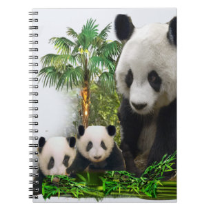 Panda Bären und Bären Notizblock