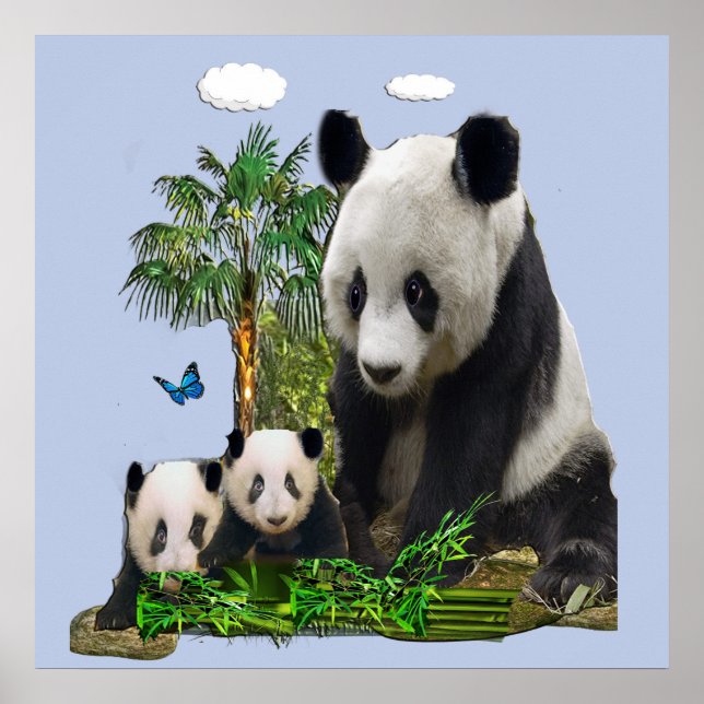 Panda Bären und Bären Poster (Vorne)