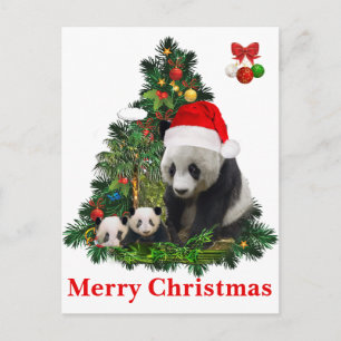 Panda Bären Weihnachten