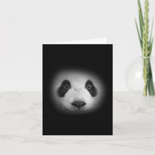 Panda Bärenfalle für Tierfreunde und liebliche Bär Karte