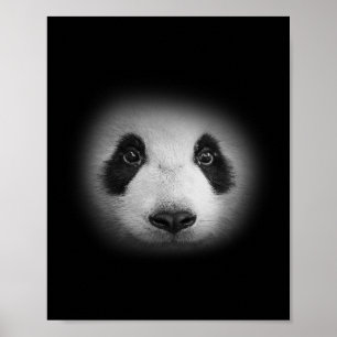 Panda Bärenfalle für Tierfreunde und liebliche Bär Poster