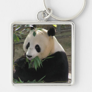 Panda-Bärenhugs Schlüsselanhänger