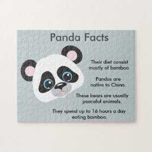 Panda-BärenleFakten
