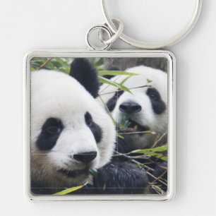 Panda-Bärenumarmungen Schlüsselanhänger