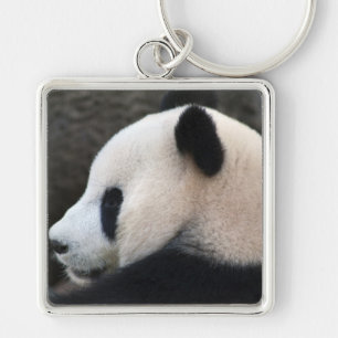 Panda-Bärenumarmungen Schlüsselanhänger