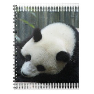 Panda-Bärn-Notizbuch Notizblock