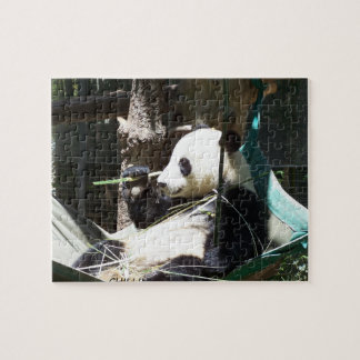 Panda-Bärn-Puzzlespiel