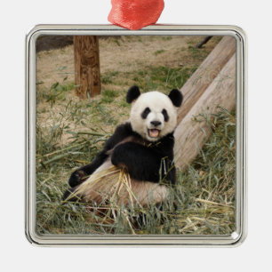 Panda-Bärn-Weihnachtsverzierung Ornament Aus Metall