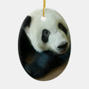 Panda-Bärn-Weihnachtsverzierungen Keramikornament
