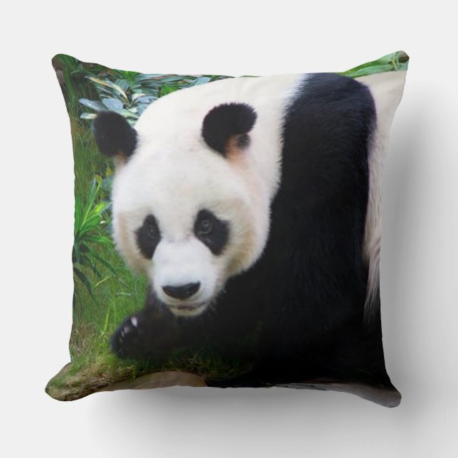 Panda-Bärn-Wurfs-Kissen Kissen (Vorderseite)