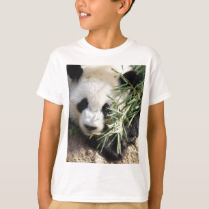 Panda-Bärn-@ Zoo Atlanta T-Shirt
