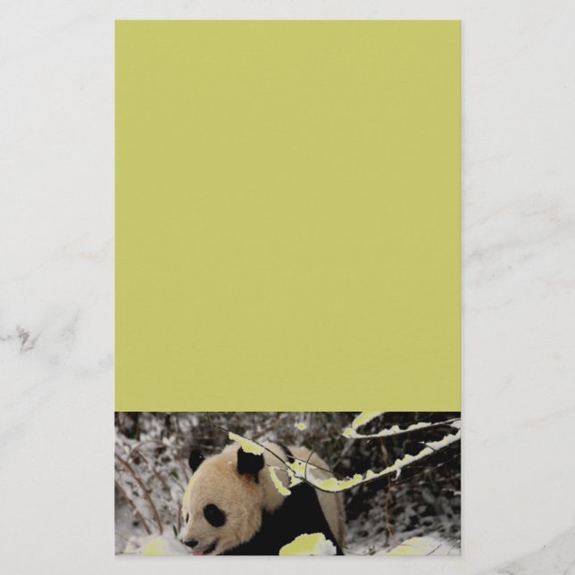 Panda Bear (Vorderseite)