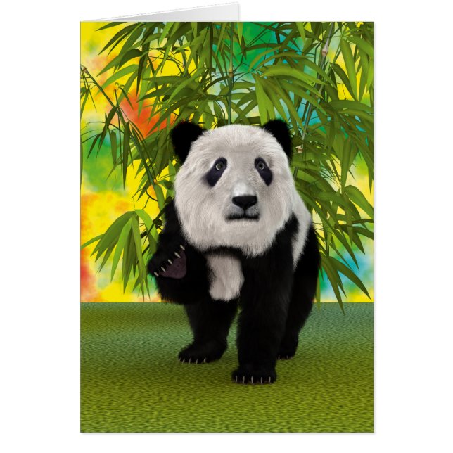 Panda Bear (Vorne)