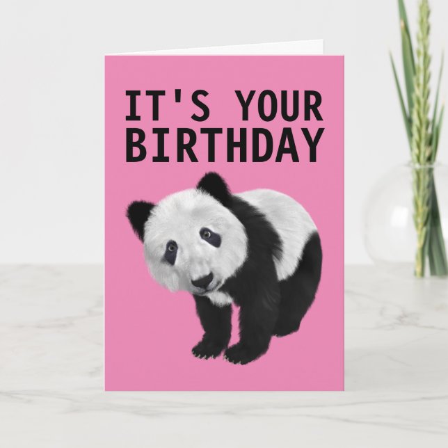 PANDA BEAR BIRTHDAY CARD KARTE (Vorderseite)