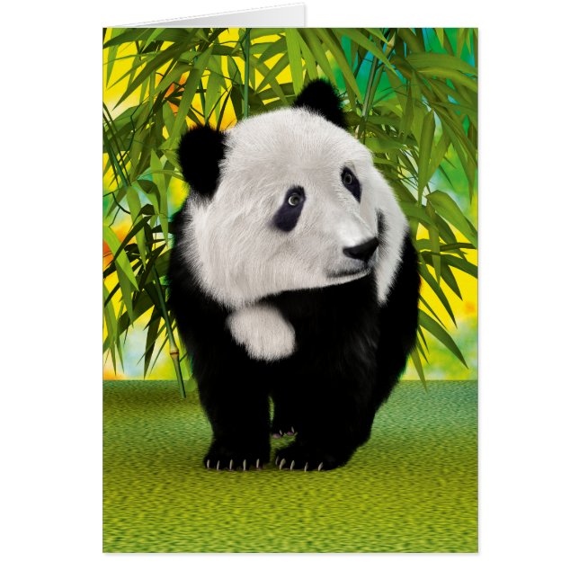 Panda Bear Cub (Vorne)