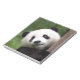 Panda Bear Cub Notizblock (Rotiert)