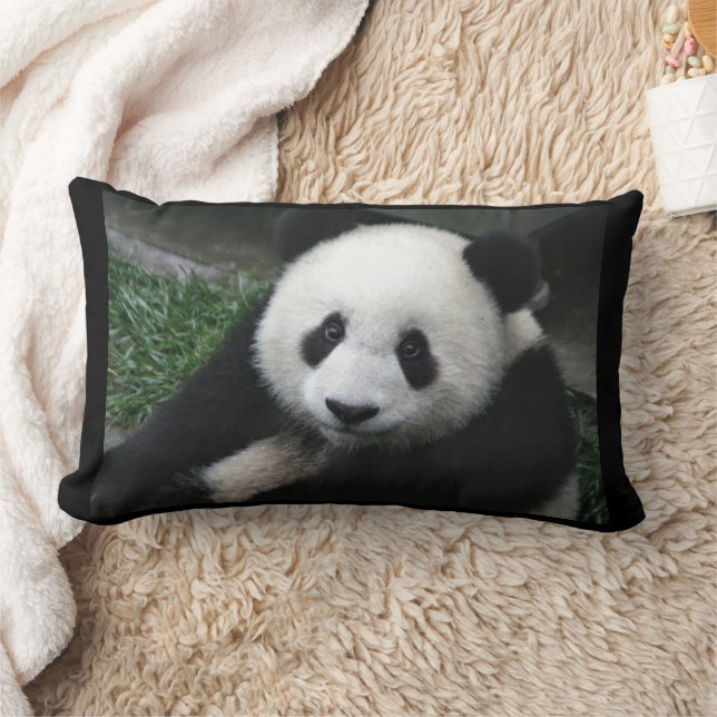 PANDA BEAR CUDDLE COUSSINS (Couverture)