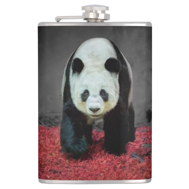 Panda Bear Flachmann (Vorderseite)