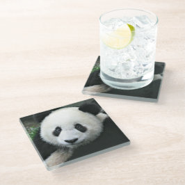 Panda Bear Glasuntersetzer