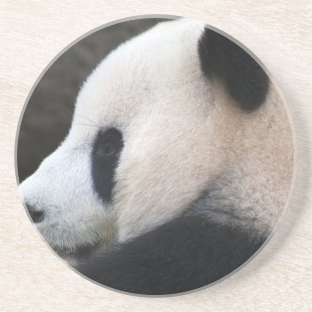 Panda Bear Hugs Getränkeuntersetzer (Vorne)