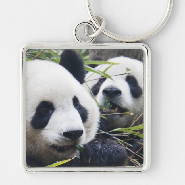 Panda Bear Hugs Schlüsselanhänger (Vorne)