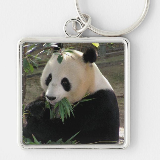 Panda Bear Hugs Schlüsselanhänger (Vorne)