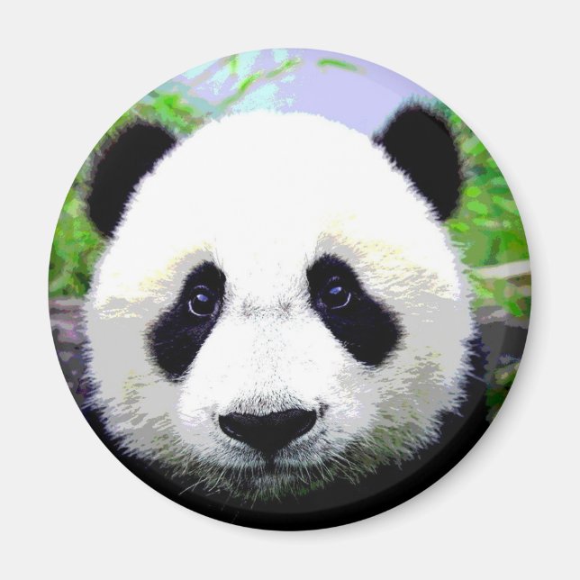 Panda Bear Magnet (Vorne)