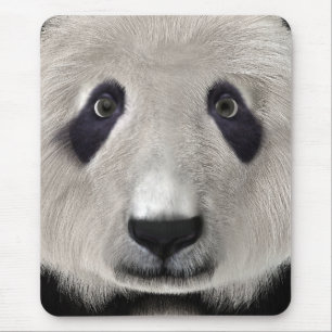 Panda Bear Mousepad