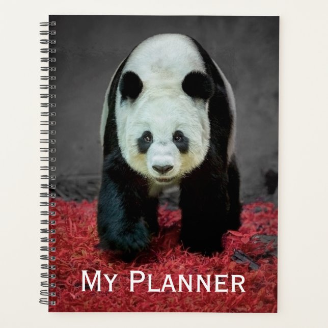 Panda Bear Planer (Vorderseite)