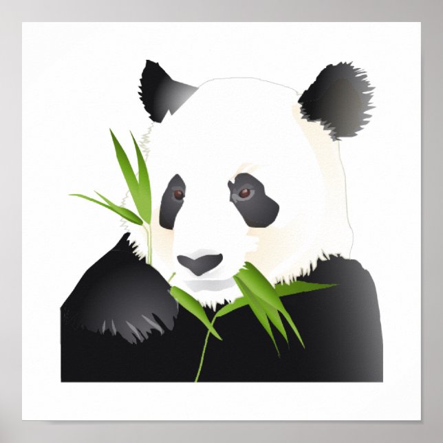 Panda Bear Poster (Vorne)