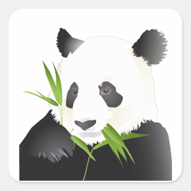 Panda Bear Quadratischer Aufkleber (Vorderseite)