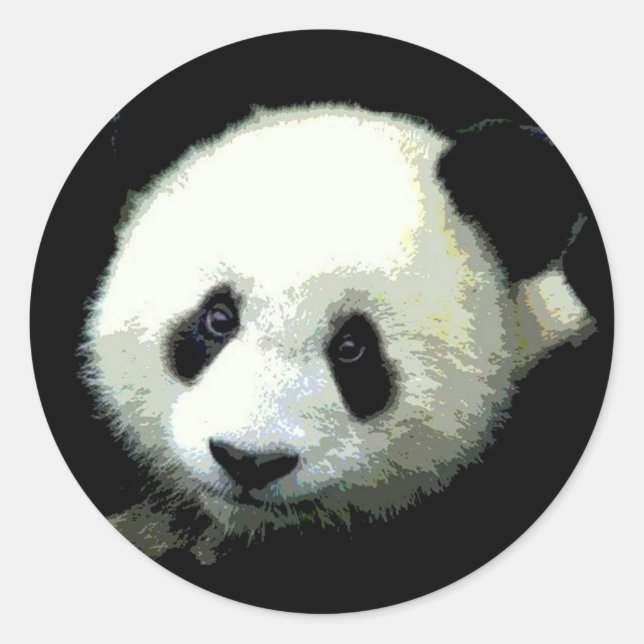 Panda Bear Runder Aufkleber (Vorderseite)