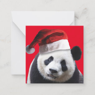 Panda Bear Santa Claus Mitteilungskarte