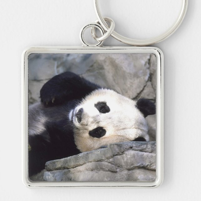 Panda Bear Schlüsselanhänger (Vorne)