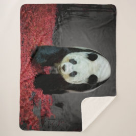 Panda Bear Sherpadecke
