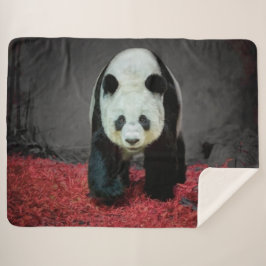 Panda Bear Sherpadecke