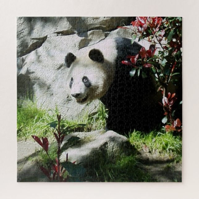 Panda Bear Smile (Vertikal)