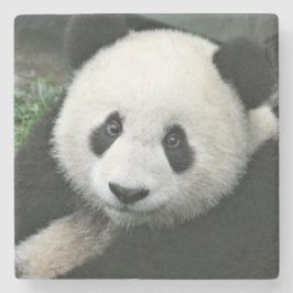 Panda Bear Steinuntersetzer