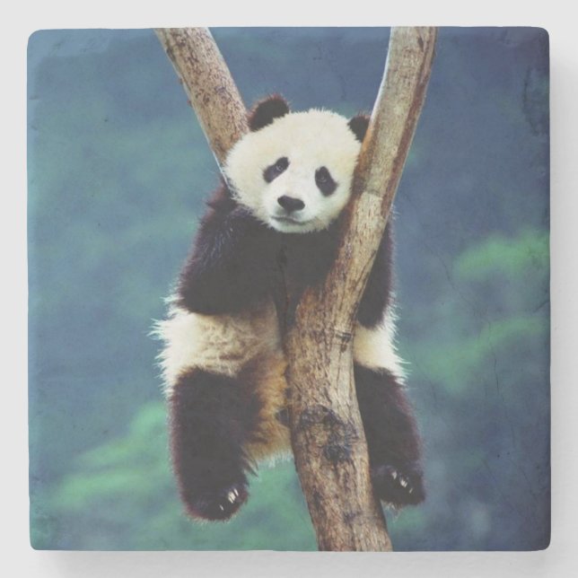 Panda Bear Steinuntersetzer (Vorderseite)
