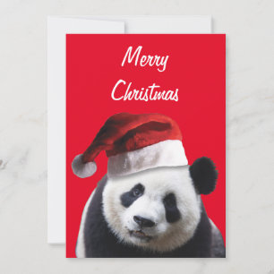 Panda Bear trägt zu Weihnachten einen Weihnachtshu Dankeskarte