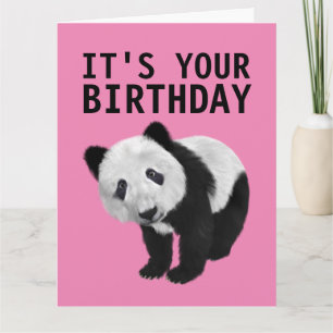 PANDA BEAR ÜBERSIERT BIRTHDAY CARD KARTE
