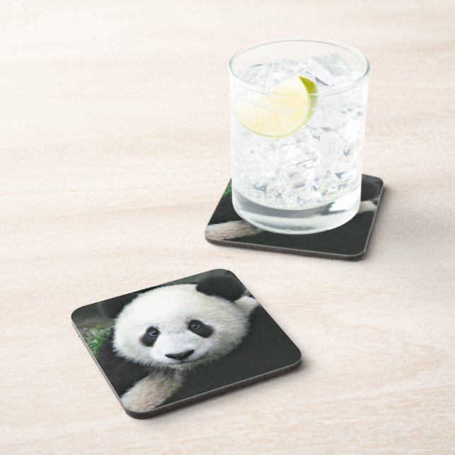 Panda Bear Untersetzer (Rechte Seite)