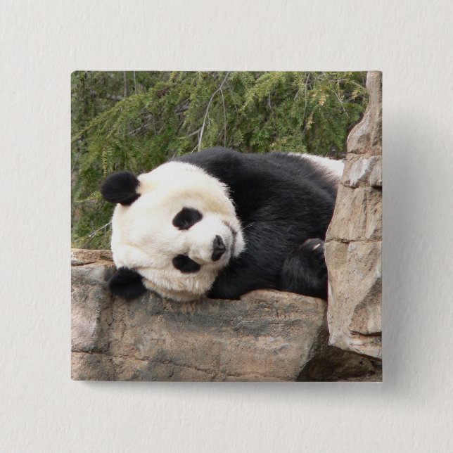 Panda-Button Button (Vorderseite)