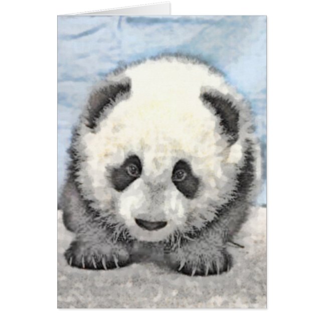 Panda Card (Vorne)