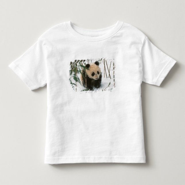 Panda cube on snow, Wolong, Sichuan, China Kleinkind T-shirt (Vorderseite)
