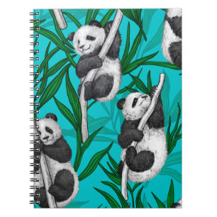 Panda Cubs auf Türkis Notizblock